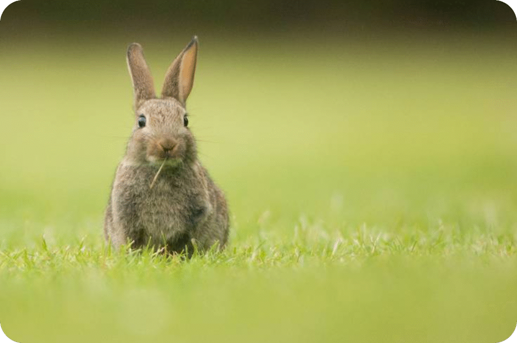 imagen de ejemplo de espacio en negativo